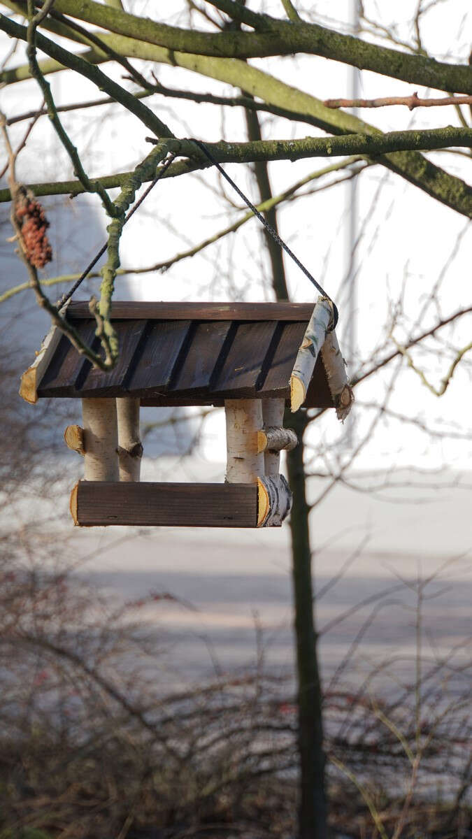 PATKAR Vogelhaus mit Holzdach
